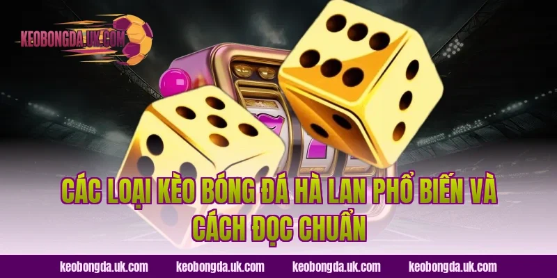 Các loại Kèo bóng đá Hà Lan phổ biến và cách đọc chuẩn