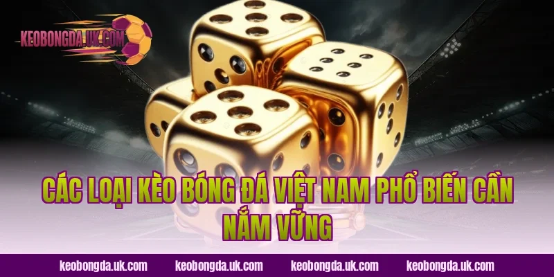 Các loại Kèo bóng đá Việt Nam phổ biến cần nắm vững