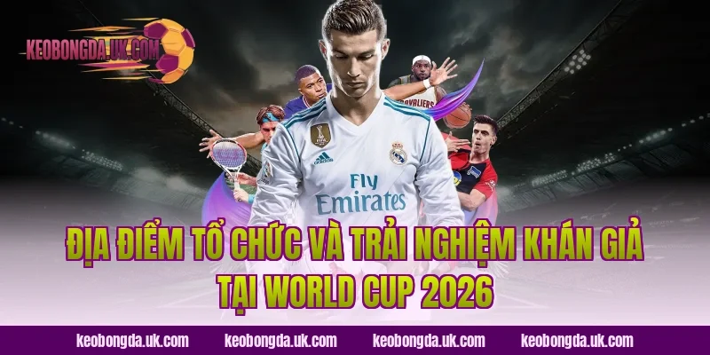 Địa Điểm Tổ Chức Và Trải Nghiệm Khán Giả Tại World Cup 2026