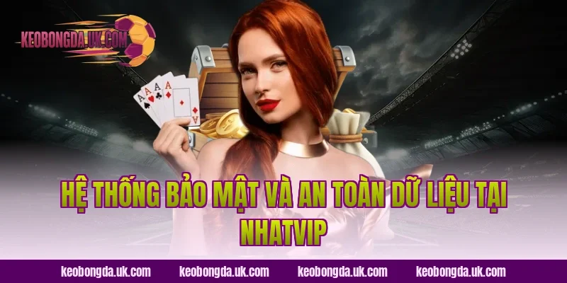Hệ Thống Bảo Mật Và An Toàn Dữ Liệu Tại NhatVIP