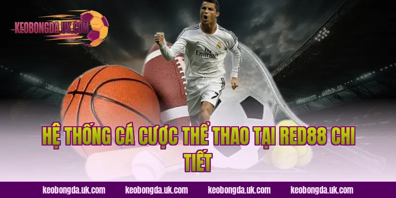 Hệ thống cá cược thể thao tại Red88 chi tiết