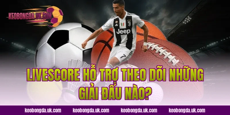 Livescore hỗ trợ theo dõi những giải đấu nào?