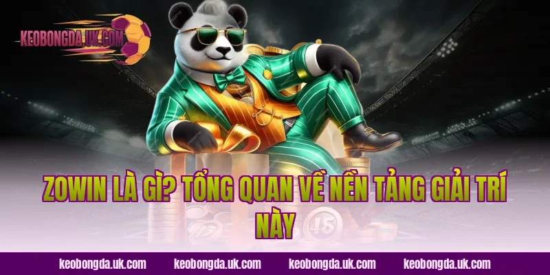 Zowin Là Gì? Tổng Quan Về Nền Tảng Giải Trí Này